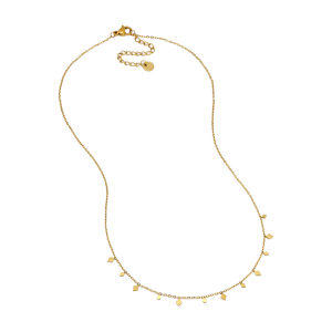 Delicate diamond disks