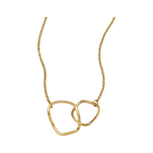 Interlocking double link