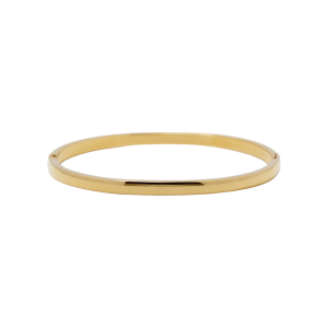 Hinged 4mm bangle