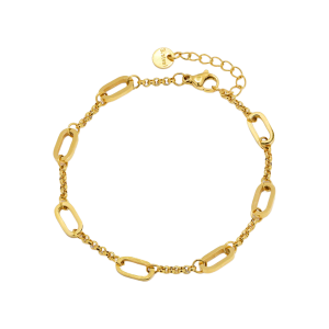 Oval link and chain